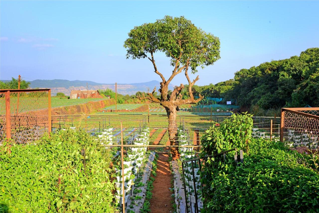 Hrishikesh Villa, Besides Valley มหาบาเลชวาร์ ภายนอก รูปภาพ